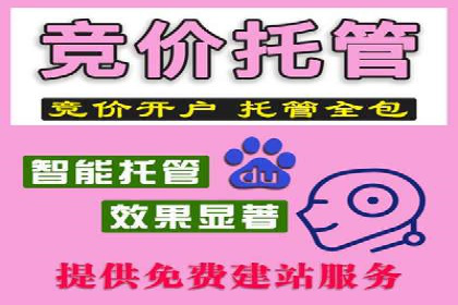 百度推广中的数据监控与优化：案例分享与经验总结